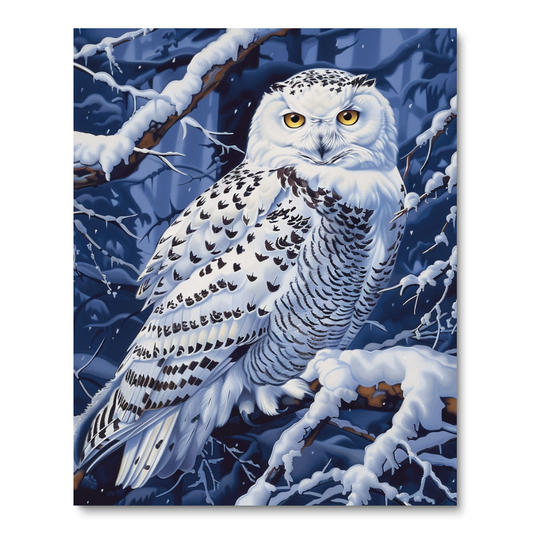 Arctic Owl (Paint by Numbers)
