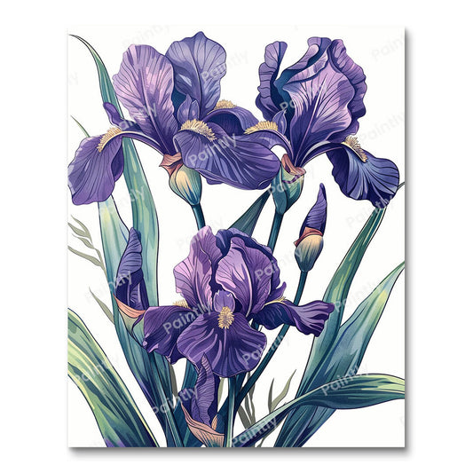 Iris Bouquet (Paint by Numbers)